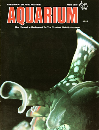 Aquarium-1