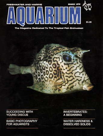 Aquarium-2